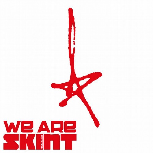 VA - We Are Skint [Skint Records ]