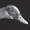 Be Svendsen - Gross Kelle EP Be Svendsen - Gross Kelle EP