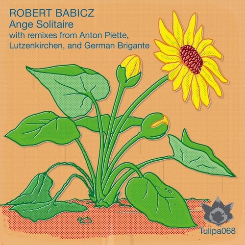 Robert Babicz - Ange Solitaire (Lutzenkirchen Dub Mix) 