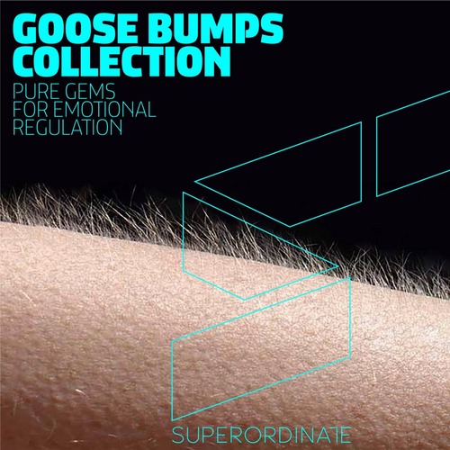 VA - Goose Bumps Collection