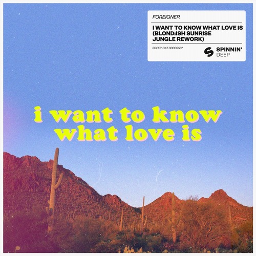 Foreigner - I Want To Know What Love Is (BLOND:ISH Sunrise Jungle Extended Rework)