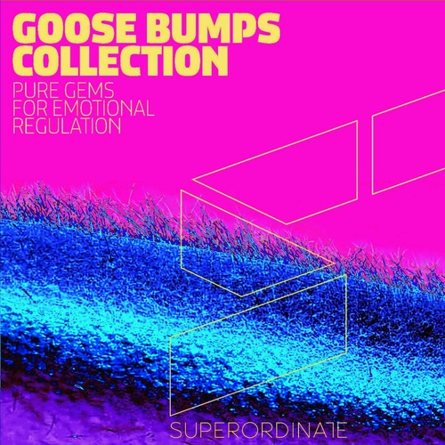 VA - Goose Bumps Collection, Vol. 4