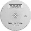 Gabriel Evoke - Voices Gabriel Evoke - Voices