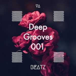 VA - Deep Grooves 001