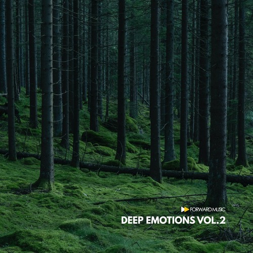 VA - Deep Emotions, Vol. 2