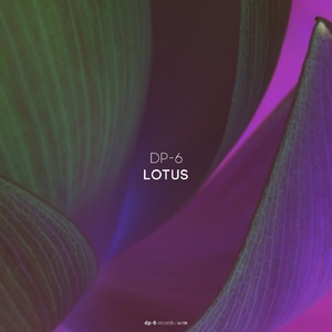 DP-6 - Lotus