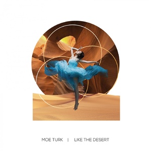 Moe Turk - Like The Desert