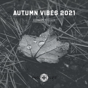 VA - Autumn Vibes 2021