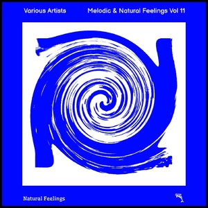 VA - Melodic & Natural Feelings Vol 11