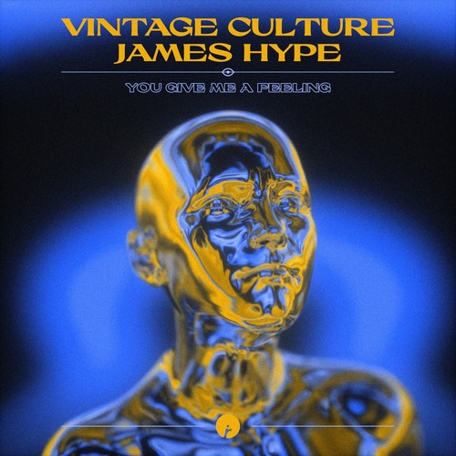 Vintage Culture, James Hype - You Give Me A Feeling