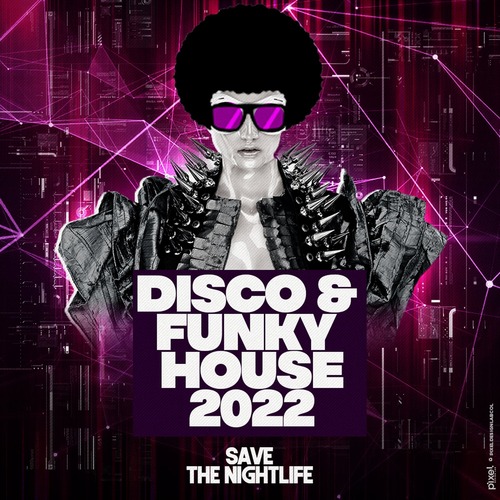 VA - Disco & Funky House 2022