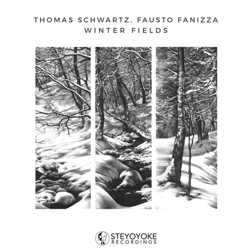 Thomas Schwartz, Fausto Fanizza, Phoebe Tsen - Winter Fields