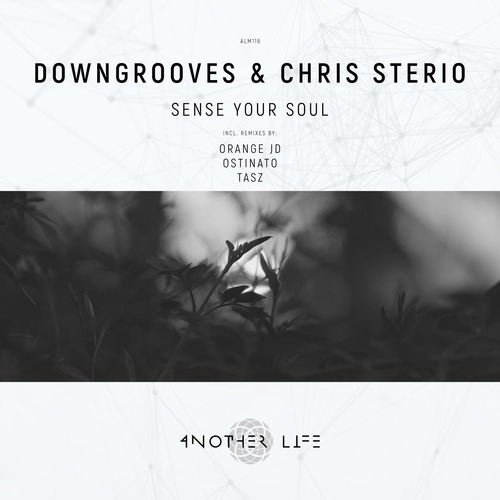Chris Sterio, Downgrooves - Sense Your Soul