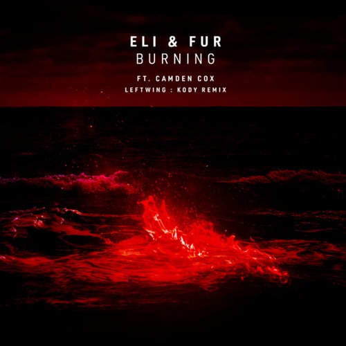 Camden Cox, Eli & Fur - Burning (Leftwing : Kody Extended Mix)