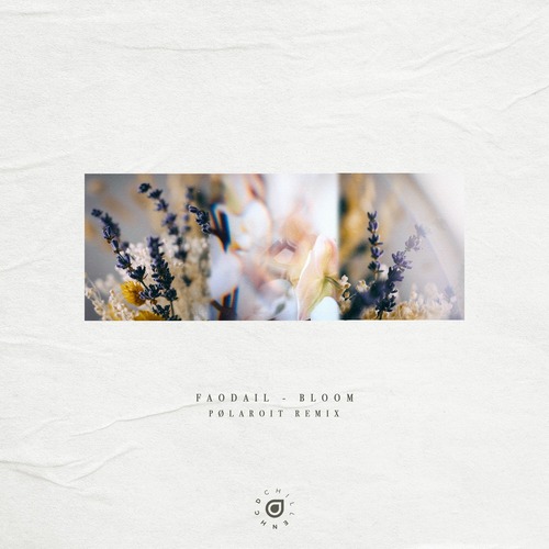  Faodail - Bloom (p&#248;laroit Remix)