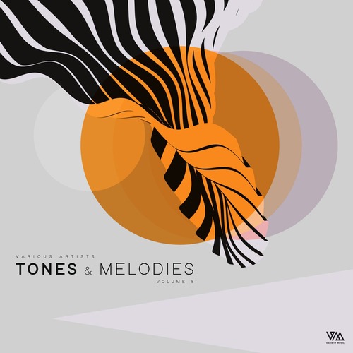 VA - Tones & Melodies Vol. 8