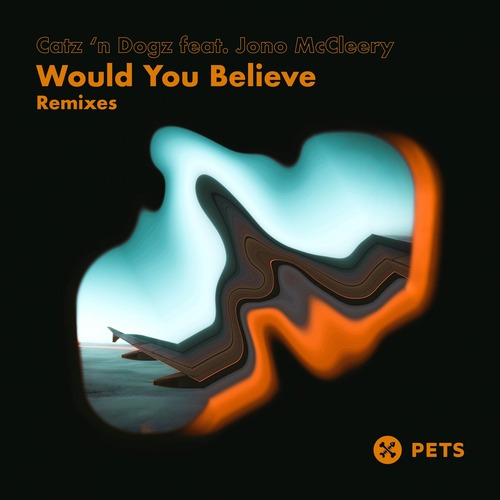 Catz 'n Dogz, Jono McCleery - Would You Believe Remixes