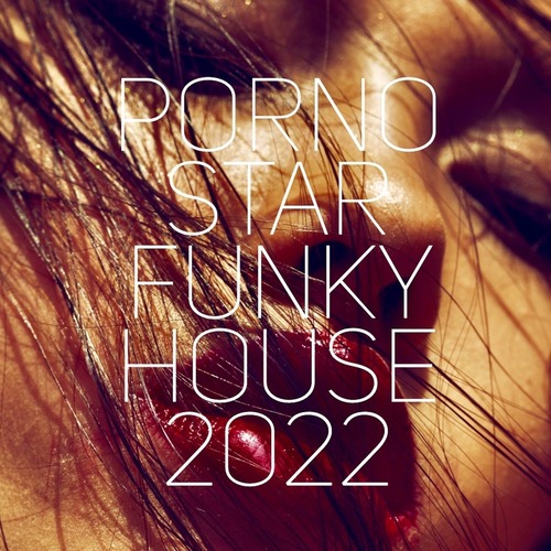 VA - Pornostar Funky House 2022