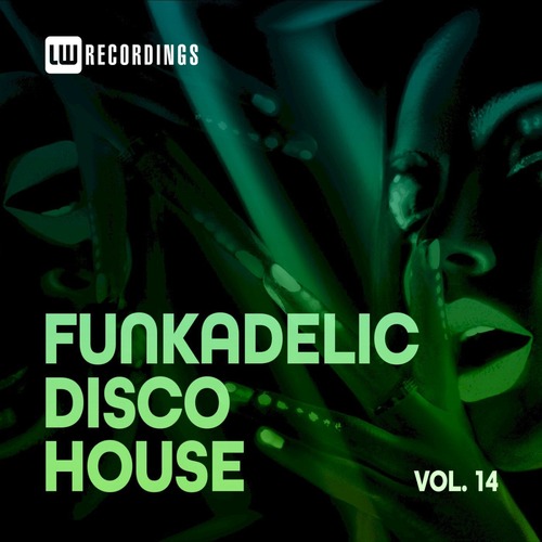 VA - Funkadelic Disco House, 14