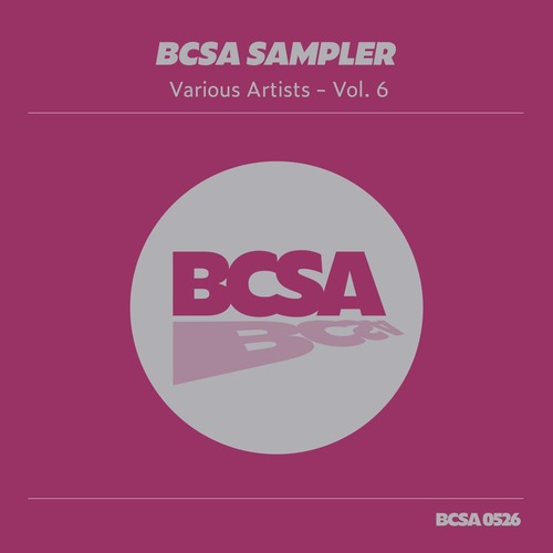 VA - BCSA Sampler, Vol. 6