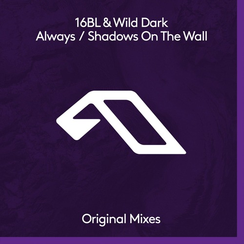 16BL, Wild Dark, Megan Morrison - Always / Shadows On The Wall