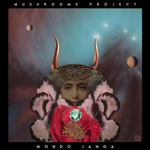 Mushrooms Project - Mondo Janga