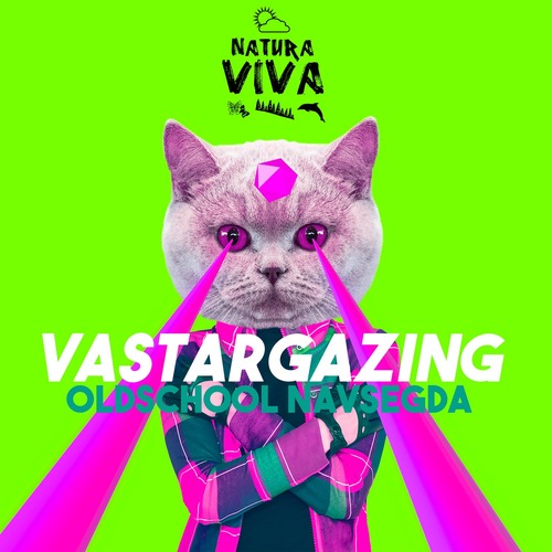 Vastargazing - Oldschool Navsegda