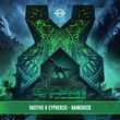Vastive, Cypherize - Raincheck