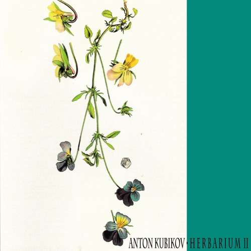 Anton Kubikov - Herbarium Part Two