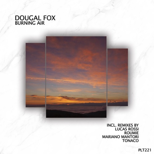 Dougal Fox - Burning Air
