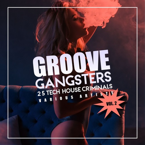 VA - Groove Gangsters, Vol. 2 (25 Tech House Criminals)