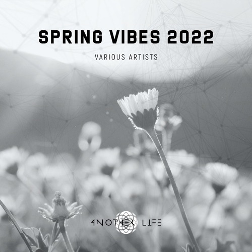 VA - Spring Vibes 2022