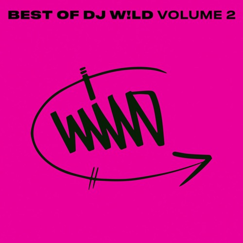 DJ W!ld - BEST OF DJ W!LD, Vol. 2