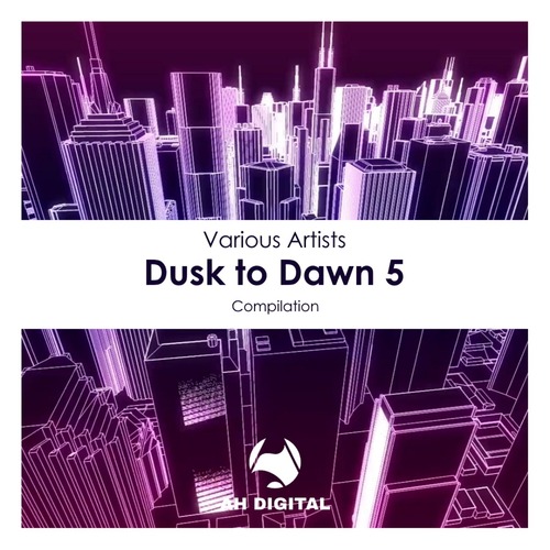 VA - Dusk to Dawn 5