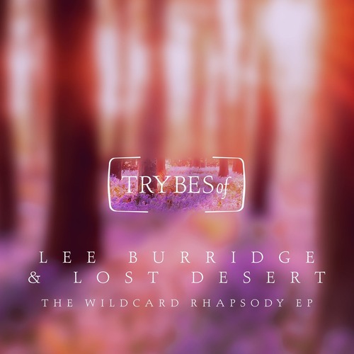 Lee Burridge, Lost Desert - The Wildcard Rhapsody EP