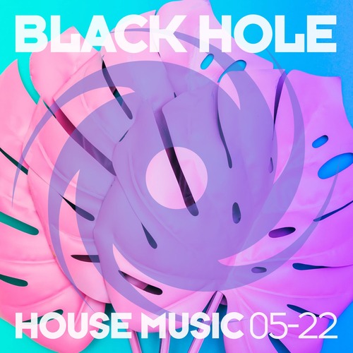 VA - Black Hole House Music 05-22