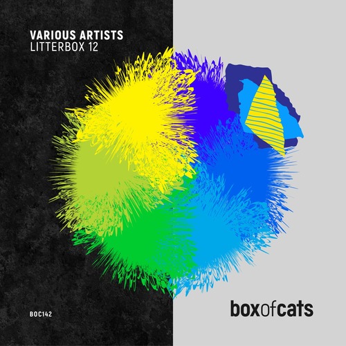 VA - Litterbox 12