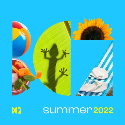 VA - BC2 Summer 2022