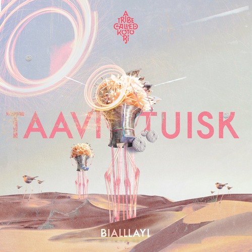 Taavi Tuisk - Bialllayl [A Tribe Called Kotori ]