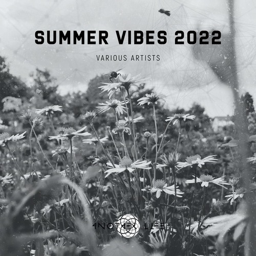 VA - Summer Vibes 2022