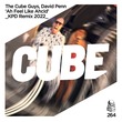David Penn, The Cube Guys - Ah Feel Like Ahcid (KPD Remix 2022)