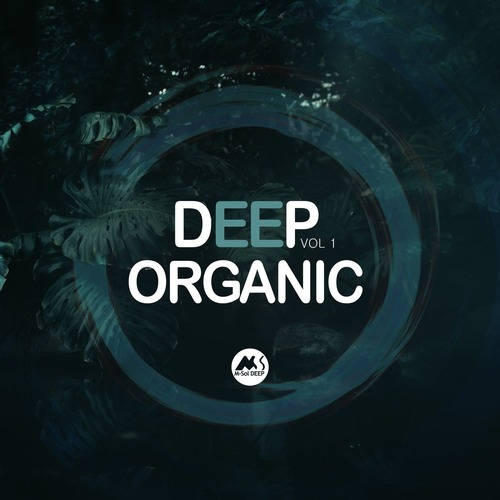VA - Deep Organic, Vol. 1