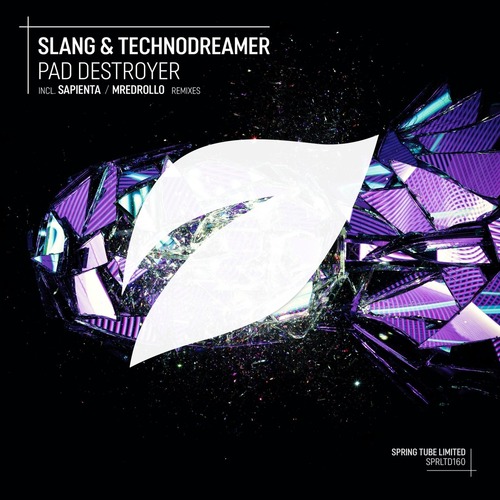 Slang, Technodreamer - Pad Destroyer