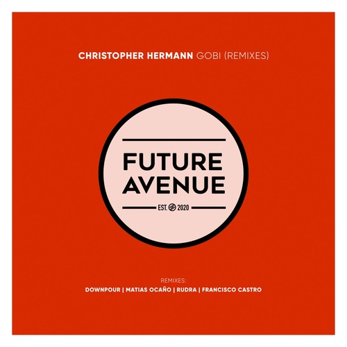 Christopher Hermann - Gobi (Remixes)