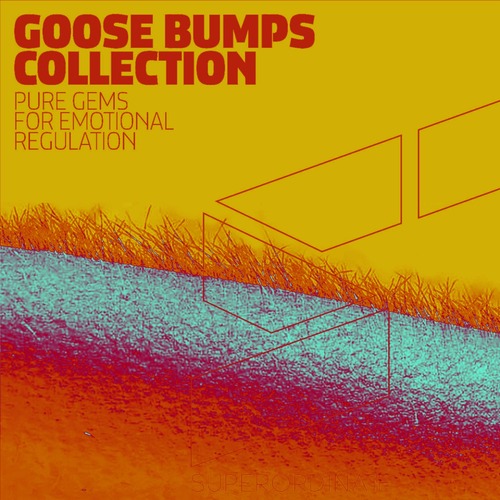 VA - Goose Bumps Collection, Vol. 8