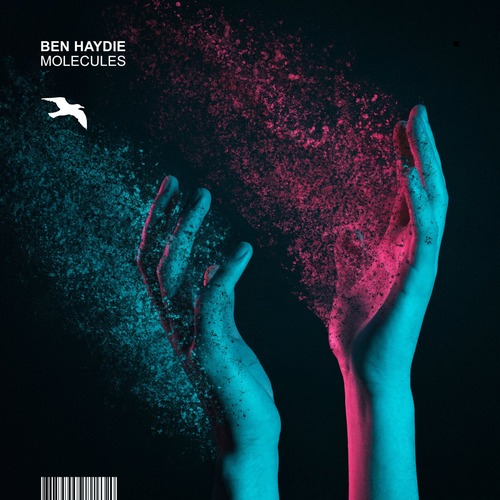 Ben Haydie - Molecules