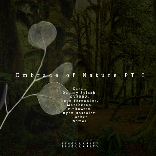 VA – Embrace of Nature PT I [SING01]