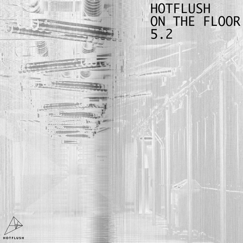 VA - Hotflush On The Floor 5.2