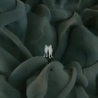 Product Of Us - The Connection
