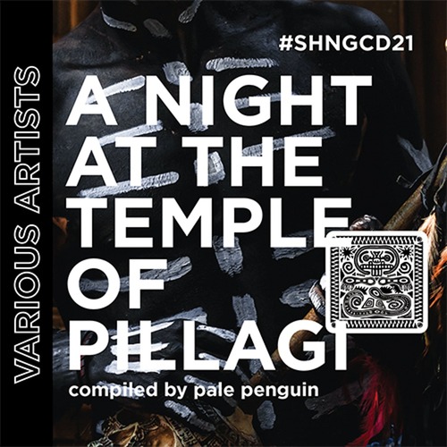 VA - A Night At The Temple Of Pillagi